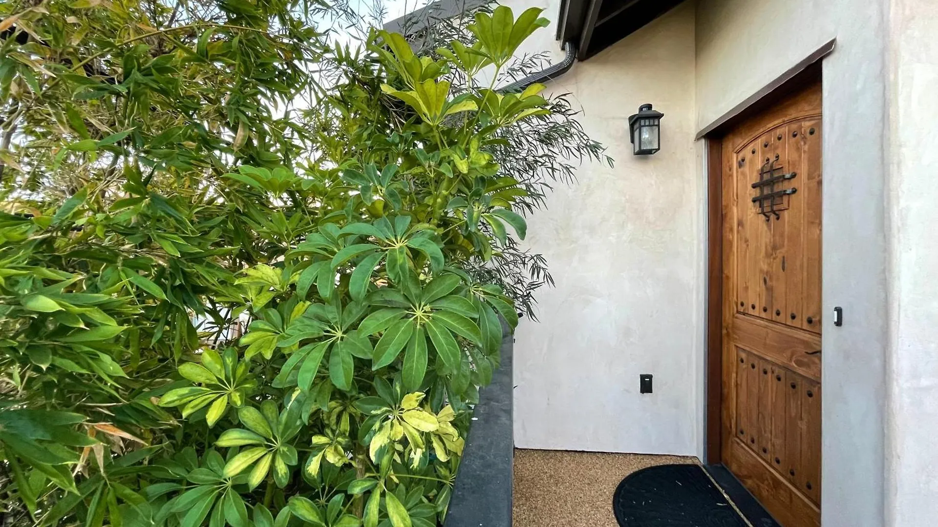 Apartment Cozy Guesthouse With Rooftop Deck Los Angeles